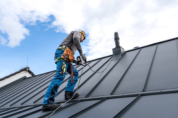 Best Slate Roofing  in Brazoria, TX